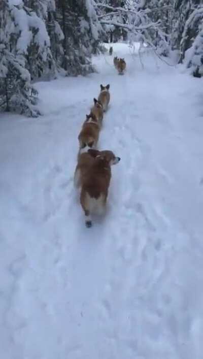 The Boys When My Fourth Gets Roasted and We're Long Distance Mining