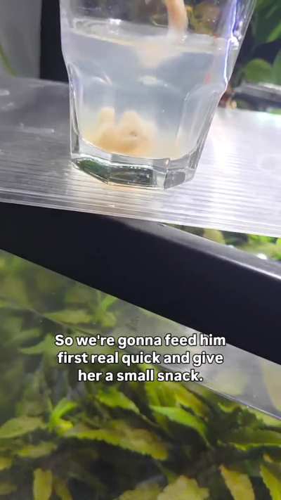 Posting part 2 now as well!