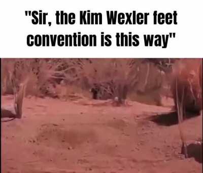 least horny 🦵🏼 🦶🏼 okbc user