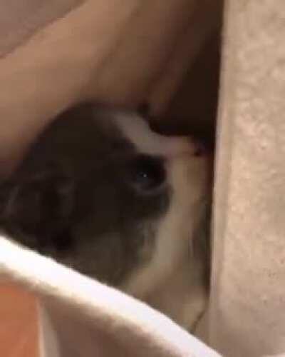 Well this belongs here as well