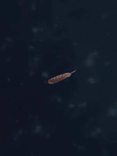 9th anniversary teaser trailer