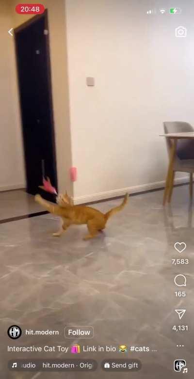 The chaos I imagine this would cause 