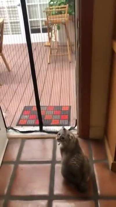 Главное верить