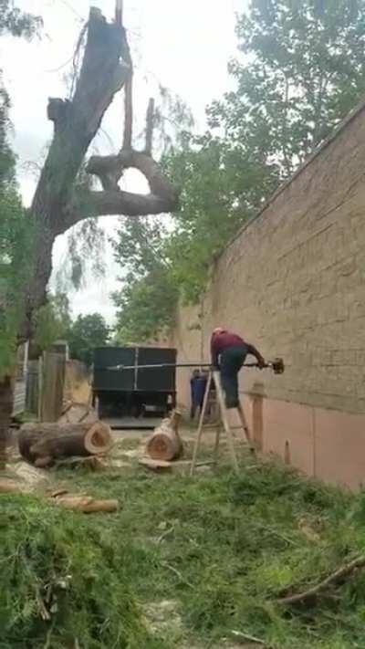 WCGW Chopping down a branch