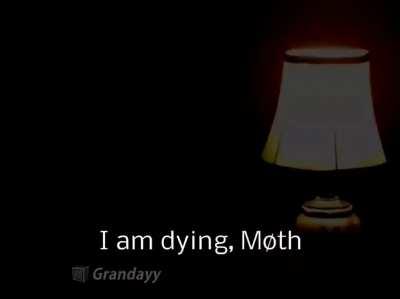 MOTH!