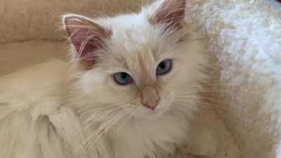 Sometimes I have to convince myself she’s not a Disney character