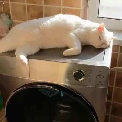 давайте, вгоняйте меня в долгИ