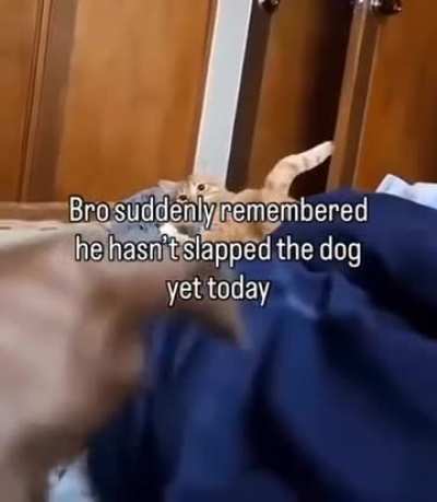 Bro just remembered his daily quota 🤣