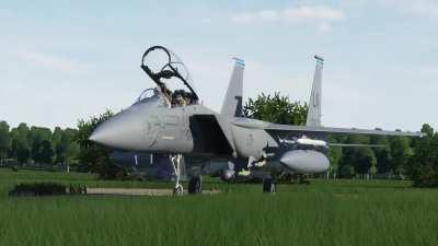 Razbam F-15E startup sounds posted today on the discord, and no this is not the startup video.