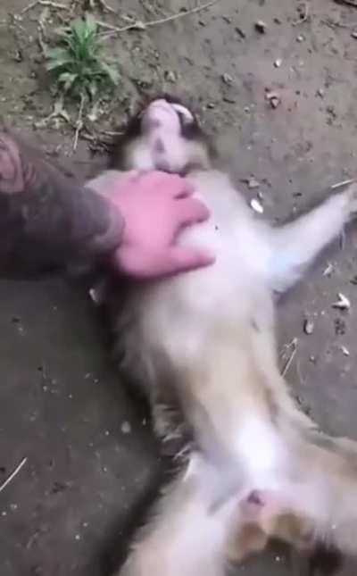 Luckily there was a trained professional