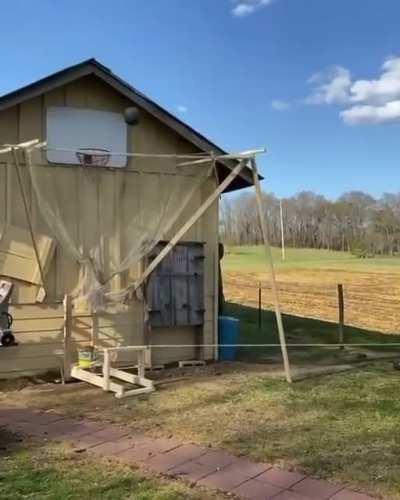 Larry Bird Memories.