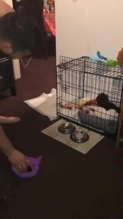 Not Allowed To Touch Her Stuff Without Permission