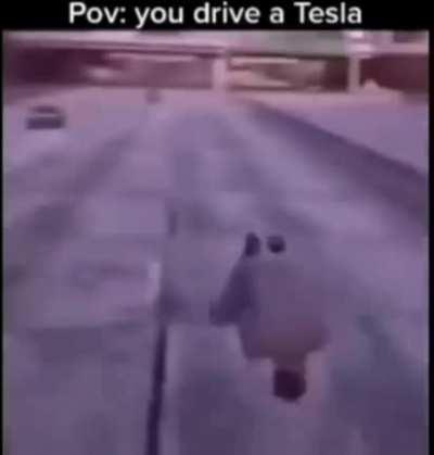 teslas be like: