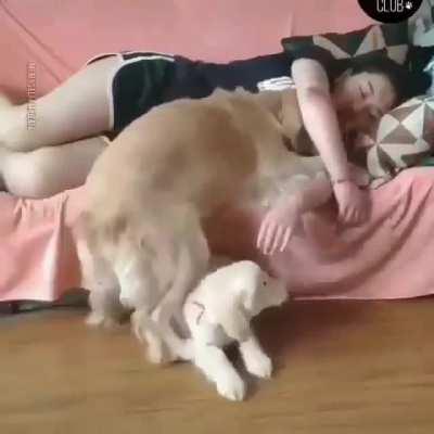 Sibiling jealousy in action