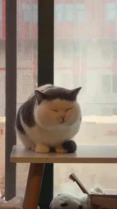 I want to touch its cheeks