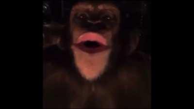 Cuando orson prende directo