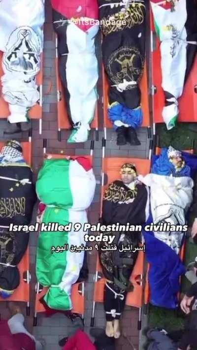 The Western media reporting on Palestine/Israel