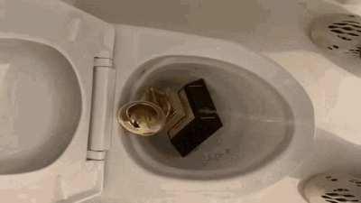 Do you think Donda will get a Grammy nom?