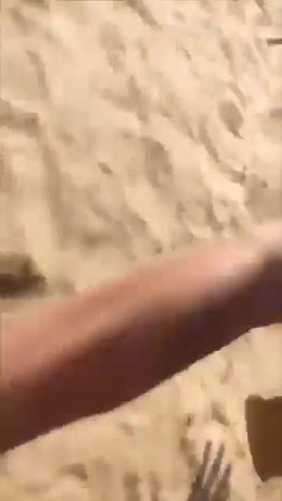 Bombs dropped on safe zone