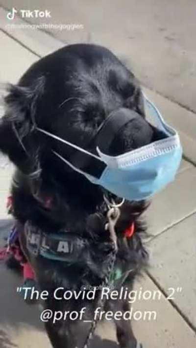 Os idiotas vão dominar o mundo; não pela capacidade, mas pela quantidade.