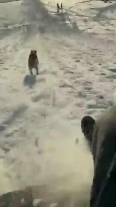 That’s one speedy boi