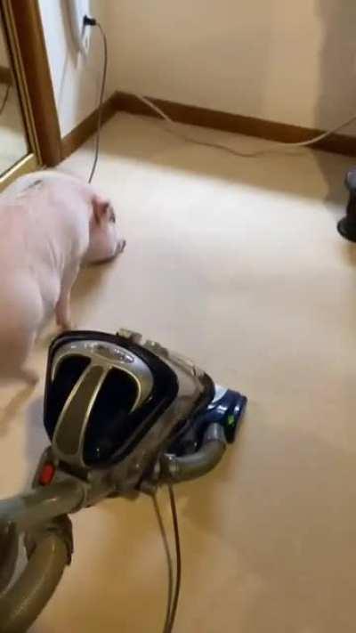 Happy weekend! It's a time to clean up the house yo!