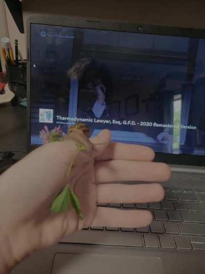 Snails Like Will Wood