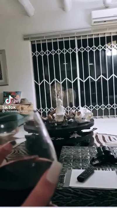 Figured this belonged here