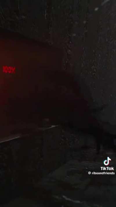 A cat trying to sell itself to the company and o meeet the quota! 😂