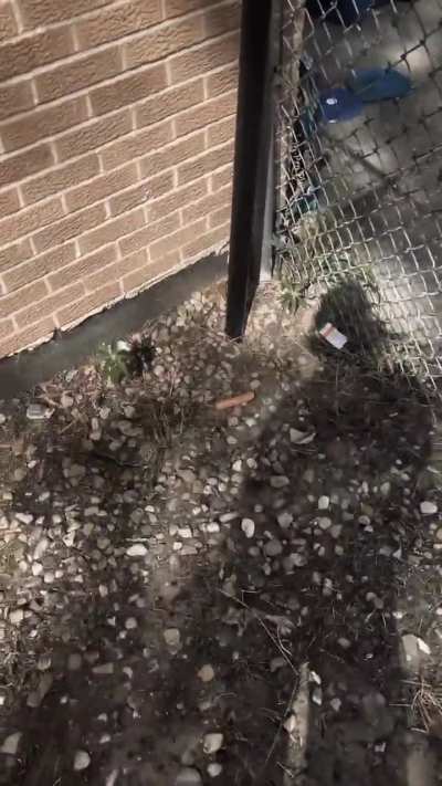 31st Morgan SDz 🔱with the 33rd Morgan LKz 👑 street sign