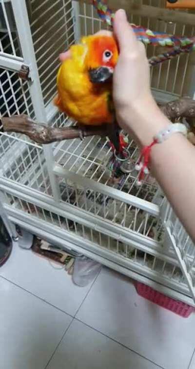 WHO SAID YOU COULD STOP?!