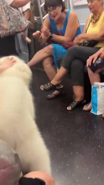 * everybody loves me *