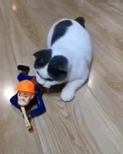 Don't worry soldier I am with you stay alert 🚨