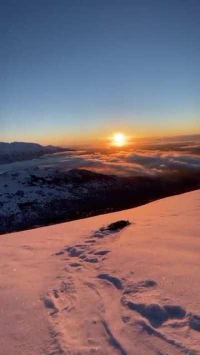 🔥Alaskan Mountains hike with the doggo