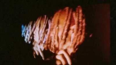 Flex Up Appreciation Post