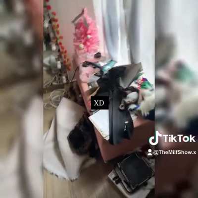 Que desorden dios mio