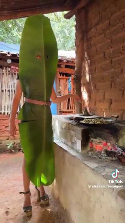 Dica preciosa prós fi di vórtex que ainda não tem uma Air fryer (assim como eu)