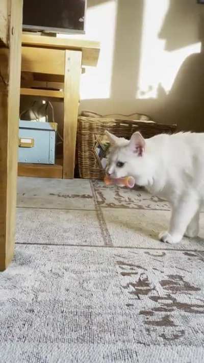 Proudly carrying his “prey”!