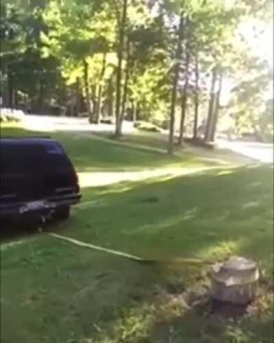 Just give it a bit more gas caw caw