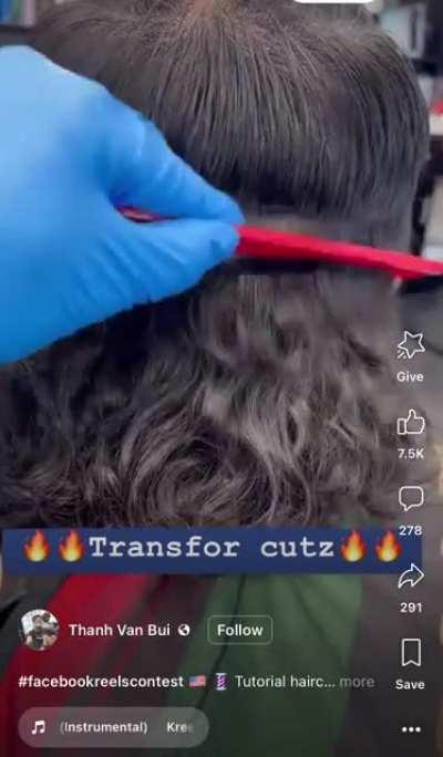 Business on the top, party on the bottom