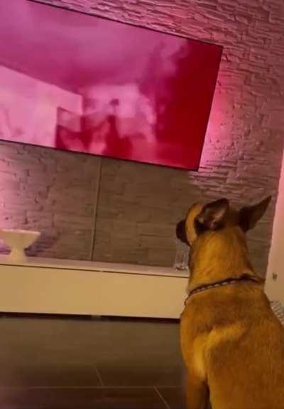 Looks like he's not gonna watch him play that again.