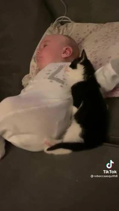 This just made my day