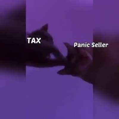 Bull run has started 😄