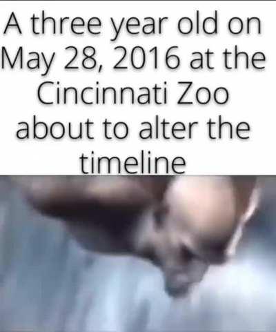 harambe rule