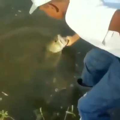 This kid has a great parents teaching him about life.