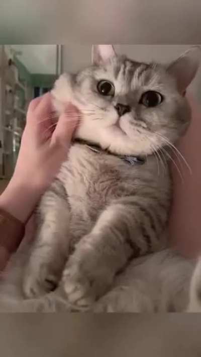 C@ has weird interrupts