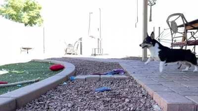 “I believe I can fly...”