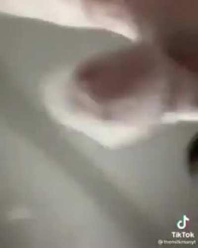 Unique NFT no save pls