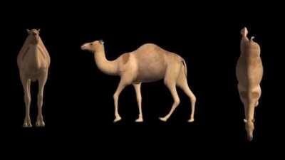 حبيبي 🥰 حبيبي هود😳😳😳😎😎😤