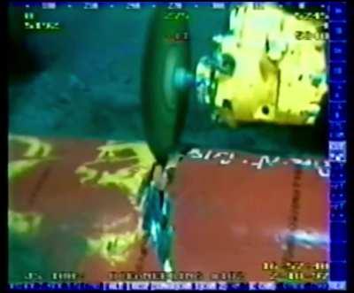 Crabs being sucked into a pipe due to differential pressure